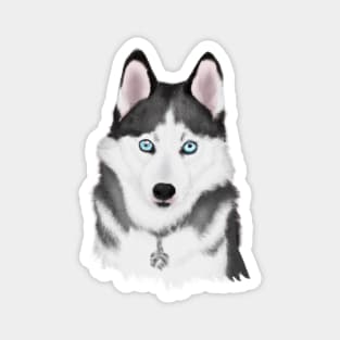 Cute Husky Drawing Magnet