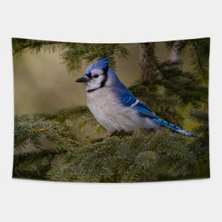 Blue Jay - Algonquin Park, Ontario Tapestry