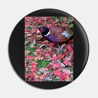 Pheasant in Autumn Pin