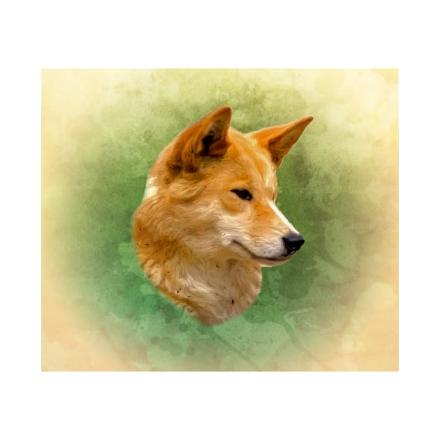 Dingo by Guardi