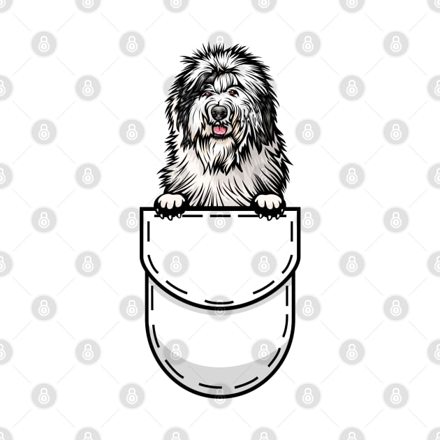 Old English Sheepdog Pocket Dog by Pet My Dog