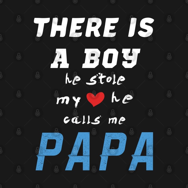 Papa Gifts Shirts from Grandson, he Stole My Heart by CareTees