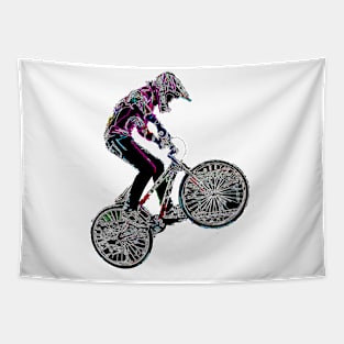 bmx Tapestry