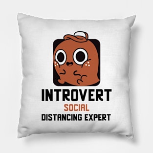 Introvert Social Distancing Expert Pillow