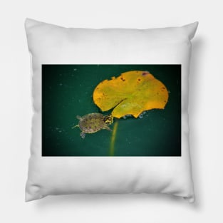 Baby Turtle And Lily Pad Pillow