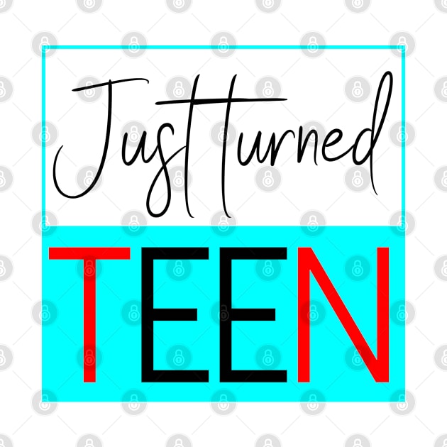 Just Turned Teen Birthday by musicanytime