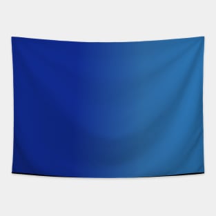 Blue Gradient Color Tapestry