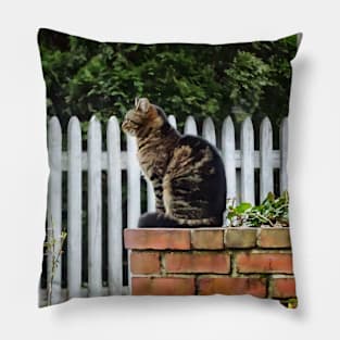 Tabby Cat on Brick Wall Pillow