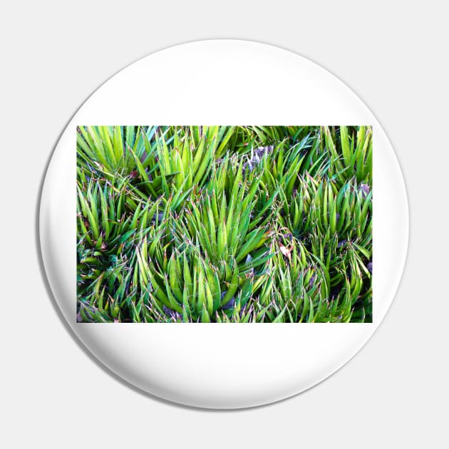 Dana Point Greenery Pin by bobmeyers