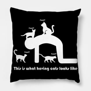 This is what having cats looks like Pillow