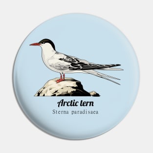 Arctic tern Pin