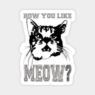 HOW YOU LIKE MEOW/ Magnet