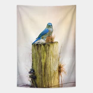 Female Eastern Bluebird Tapestry
