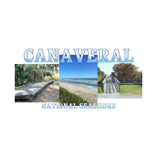 Canaveral National Seashore by teepossible