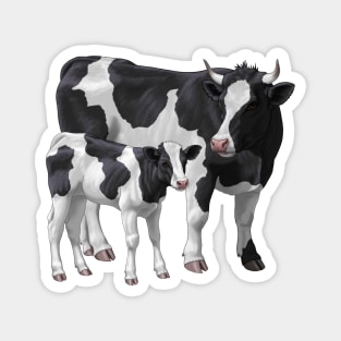 Holstein Friesian Cow and Cute Calf Magnet