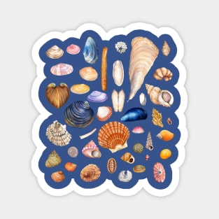 Watercolor Seashell Collection Magnet