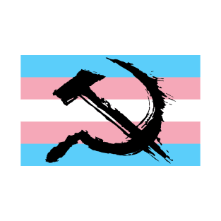 Painted Communist Trans Flag| Transgender| LGBTQ+| Don't Say Gay Bill T-Shirt