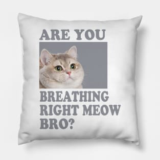 Are you Breathing Right Meow Bro? Pillow