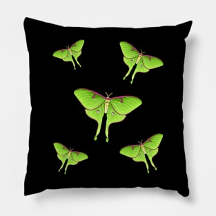 Luna Moth cartoon illustration Pillow