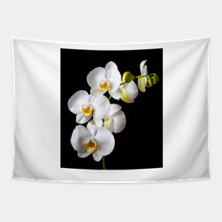 Gorgeous White Orchids Tapestry