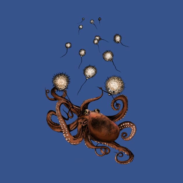 Octopus by annashell