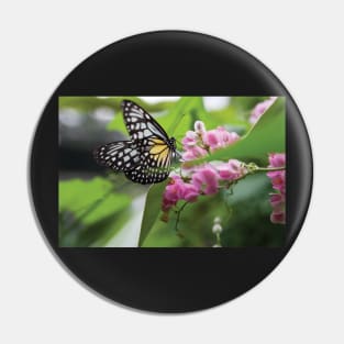 Paper Kite butterfly Pin