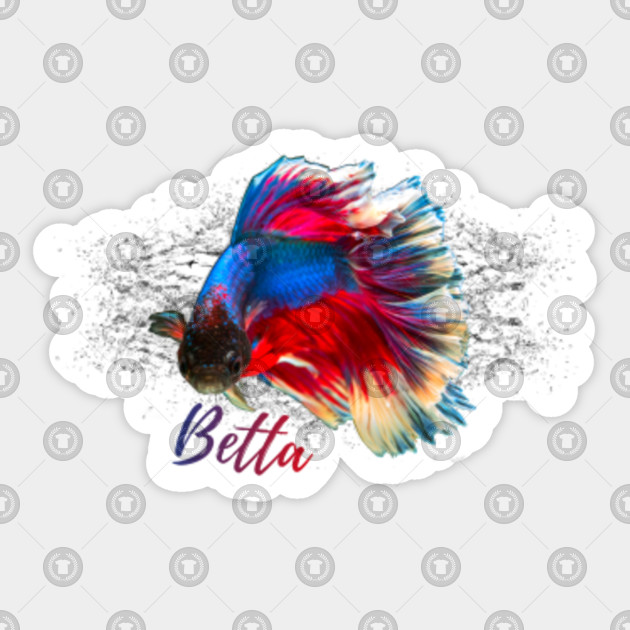 54+ Aquarium Design For Betta Fish Gratis Terbaru