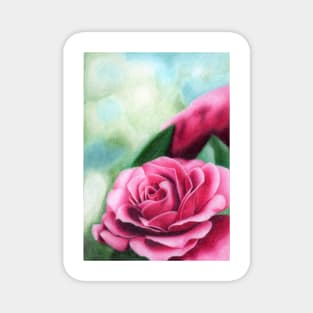 Pink rose Magnet