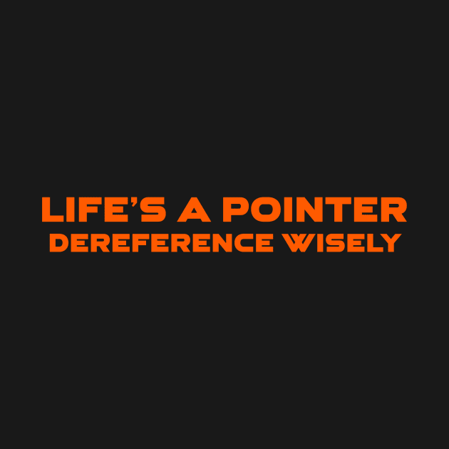 Life's A Pointer Dereference Wisely Programming by Furious Designs