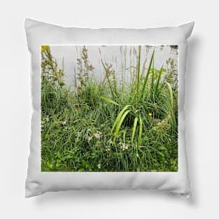 Green grass, summer Pillow