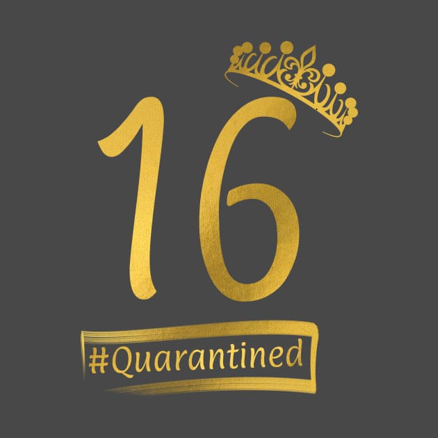 16th Quarantine Birthday by paintmaninfinity