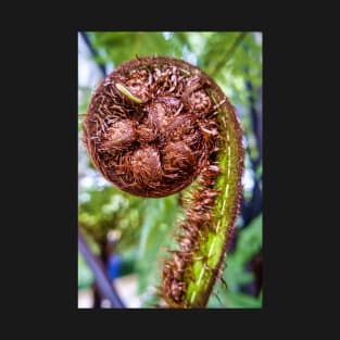 Unfurling Fern Frond T-Shirt