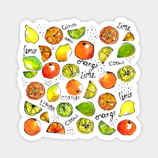 Citrus fruit lime orange lemon sketches food illustration Magnet