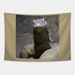 Komodo Dragon Tapestry