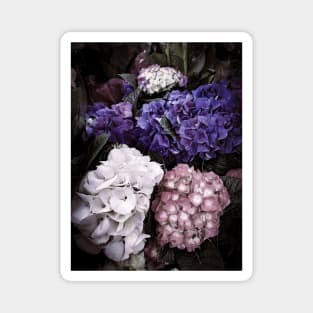 Vintage Flowers Garden Nature Magnet