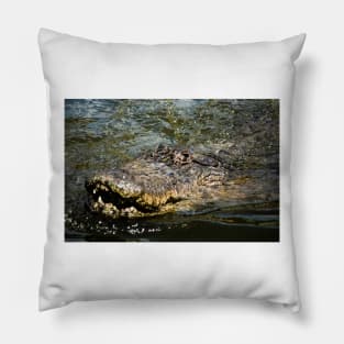 Emerging Gator 2 Pillow