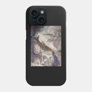 Fish Fossil - Photography by Avril Thomas - Adelaide / South Australia Artist Phone Case