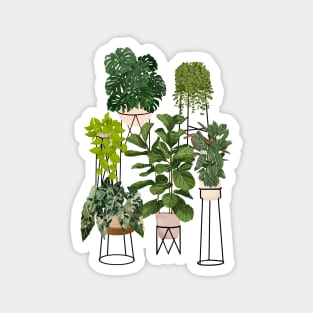 House plants collection 30.4 Magnet