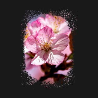 Pink Sakura Flowers In The Spring Season T-Shirt