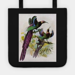 Woodland Birds-Available As Art Prints-Mugs,Cases,Duvets,T Shirts,Stickers,etc Tote