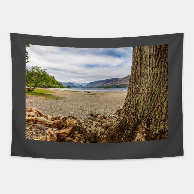 Derwentwater Tree Roots Tapestry by tommysphotos