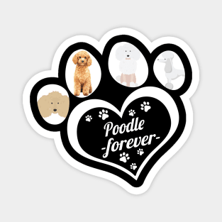 Poodle forever Magnet