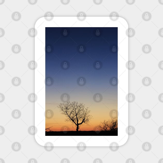 Kansas Sunset at Twilight with a Tree silhouette Magnet by ROBERTDBROZEK