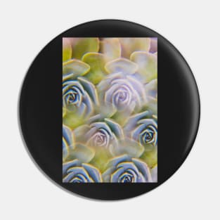 Succulent photographed through prism filter Pin