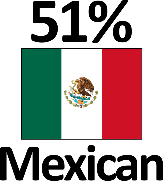 51% Mexican Flag Funny Mexico Heritage Kids T-Shirt by Stuffosaurus