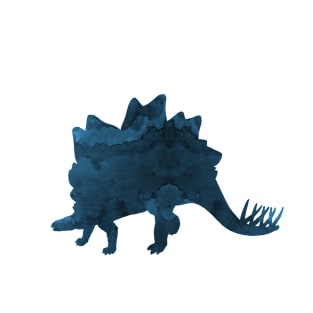 Stegosaurus T-Shirt