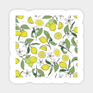 lemons on white Magnet