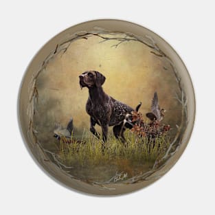 A German Shorthaired Pointer on point Pin