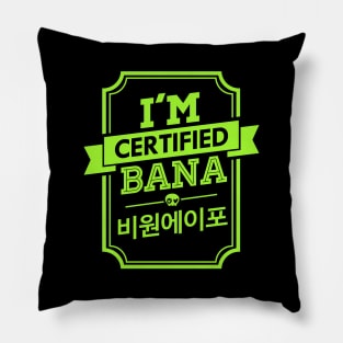 I'M CERTIFIED B1A4 BANA Pillow