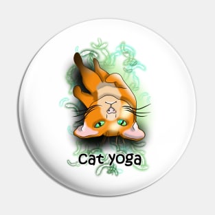 Cat yoga shavasana Pin